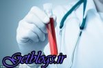 موفقیت در تزریق خون جوان در افراد مسن جهت نابودی بیماریها